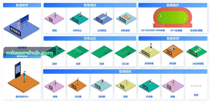 MK裁判电子化执裁与争议防范实务